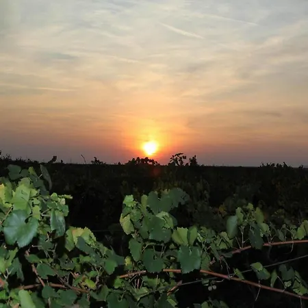 Affittacamere Vinski Dvor 3*