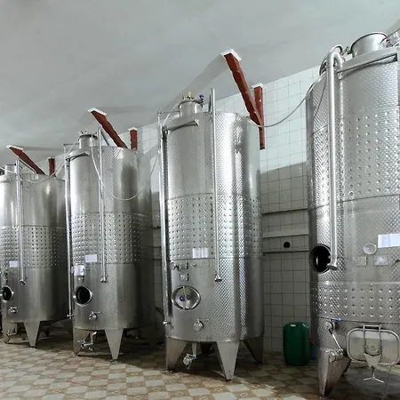 Vinski Dvor Palic
