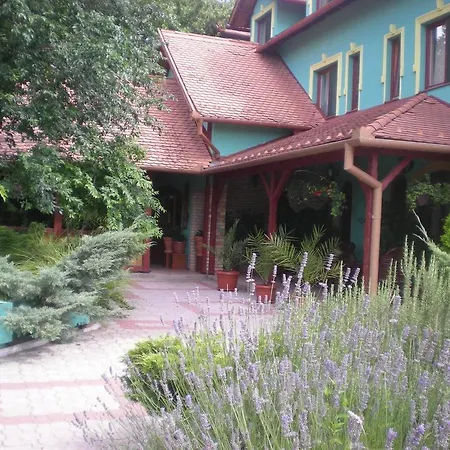 Vinski Dvor Guest house *