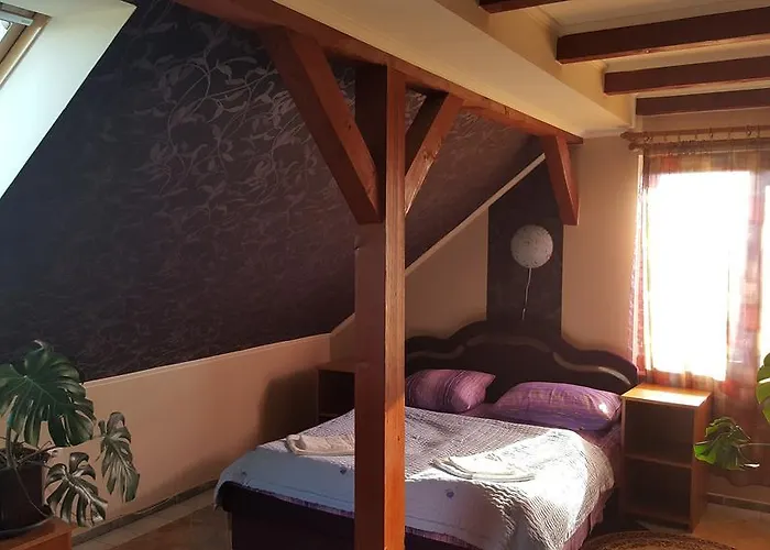 Pensjonat Vinski Dvor 3*